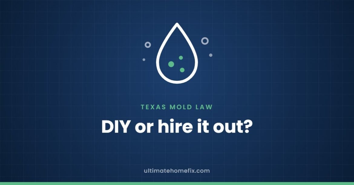 Water droplet with mold spores: Texas rules for removing mold yourself