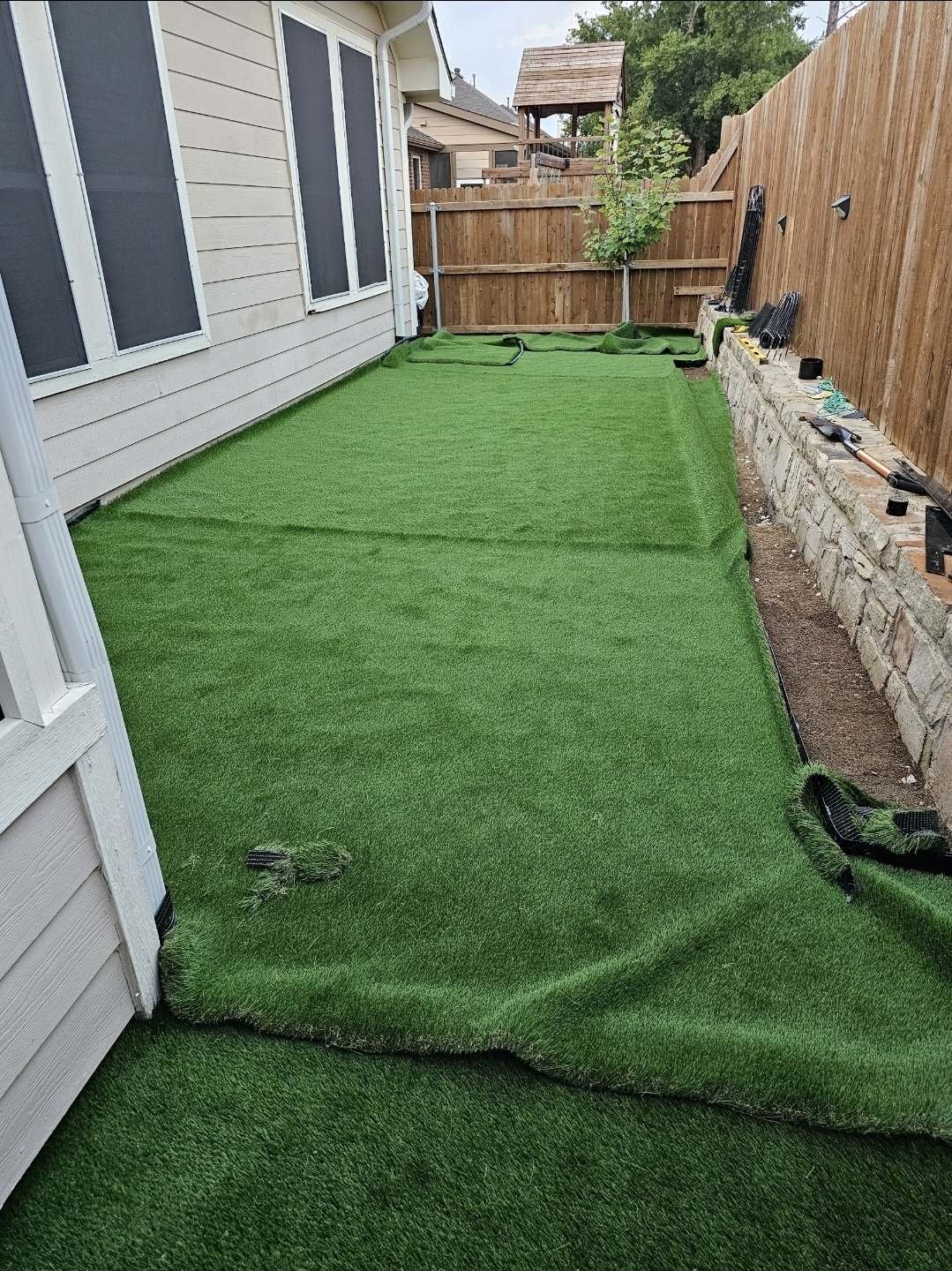Roll of artificial turf being laid over a prepared base in a Texas back yard