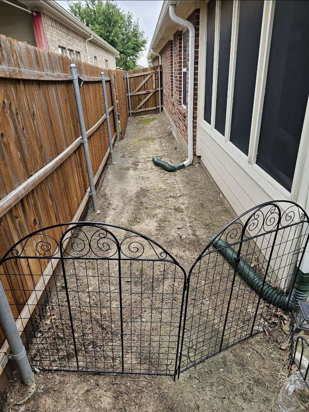 Downspout emptying directly onto the ground at the foundation in a Texas side yard