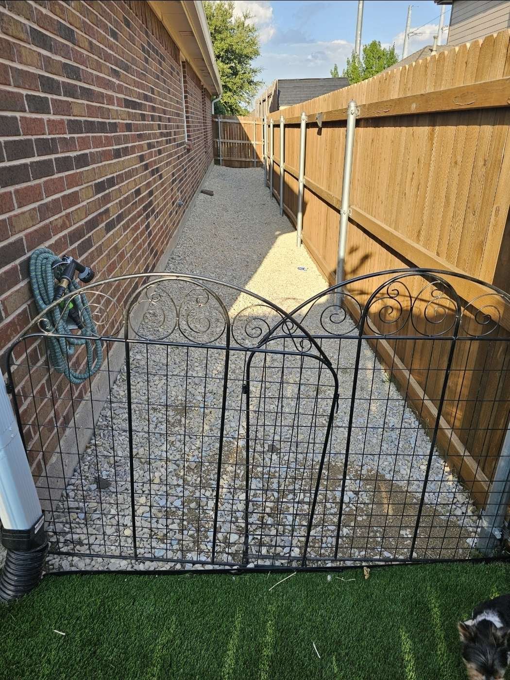 Downspout cut and connected directly into a buried corrugated drain pipe