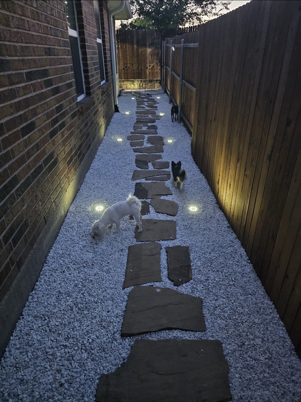 Gravel side yard with a flagstone path and low solar path lights at dusk