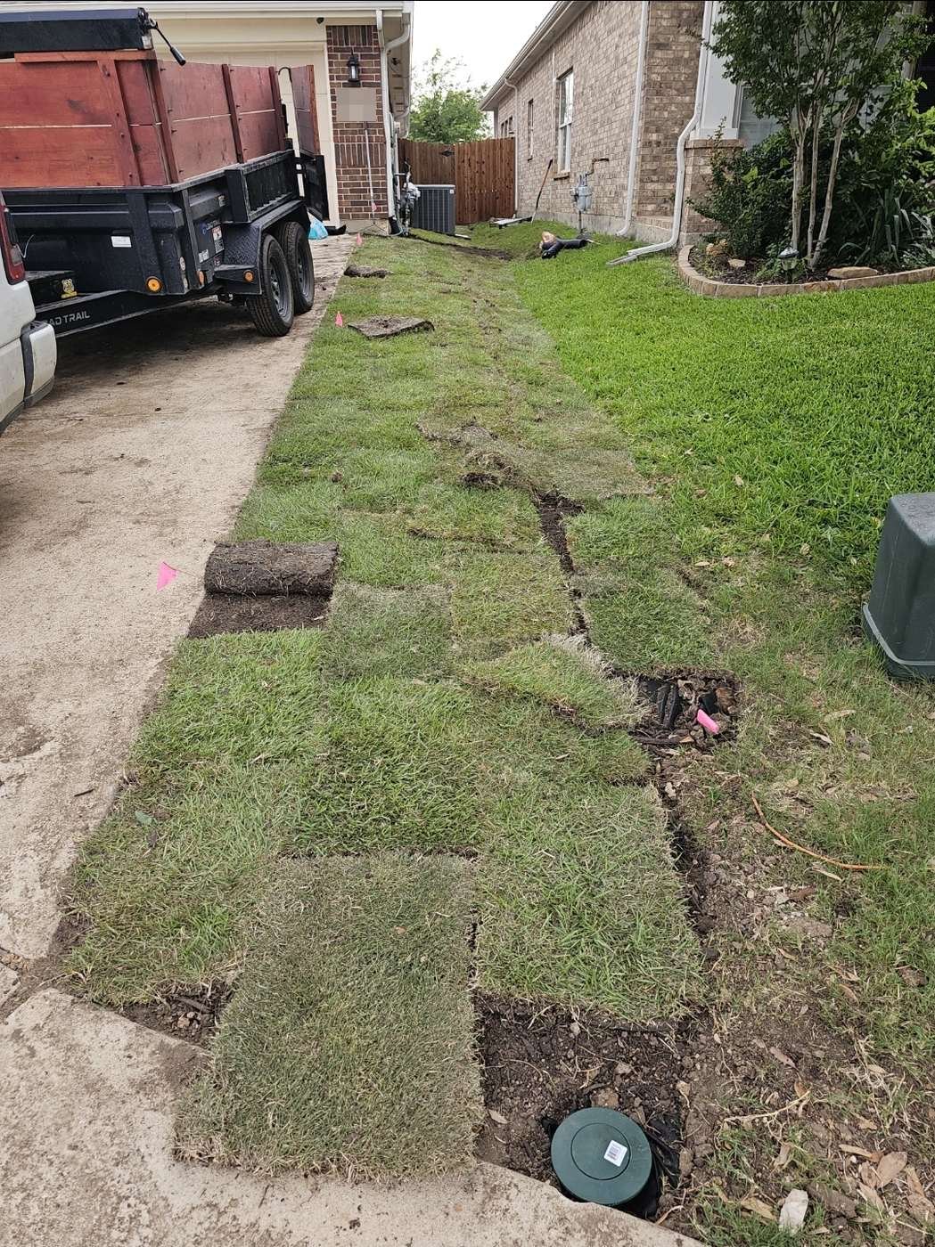 Sod cut and folded back along a French drain trench line with marking flags