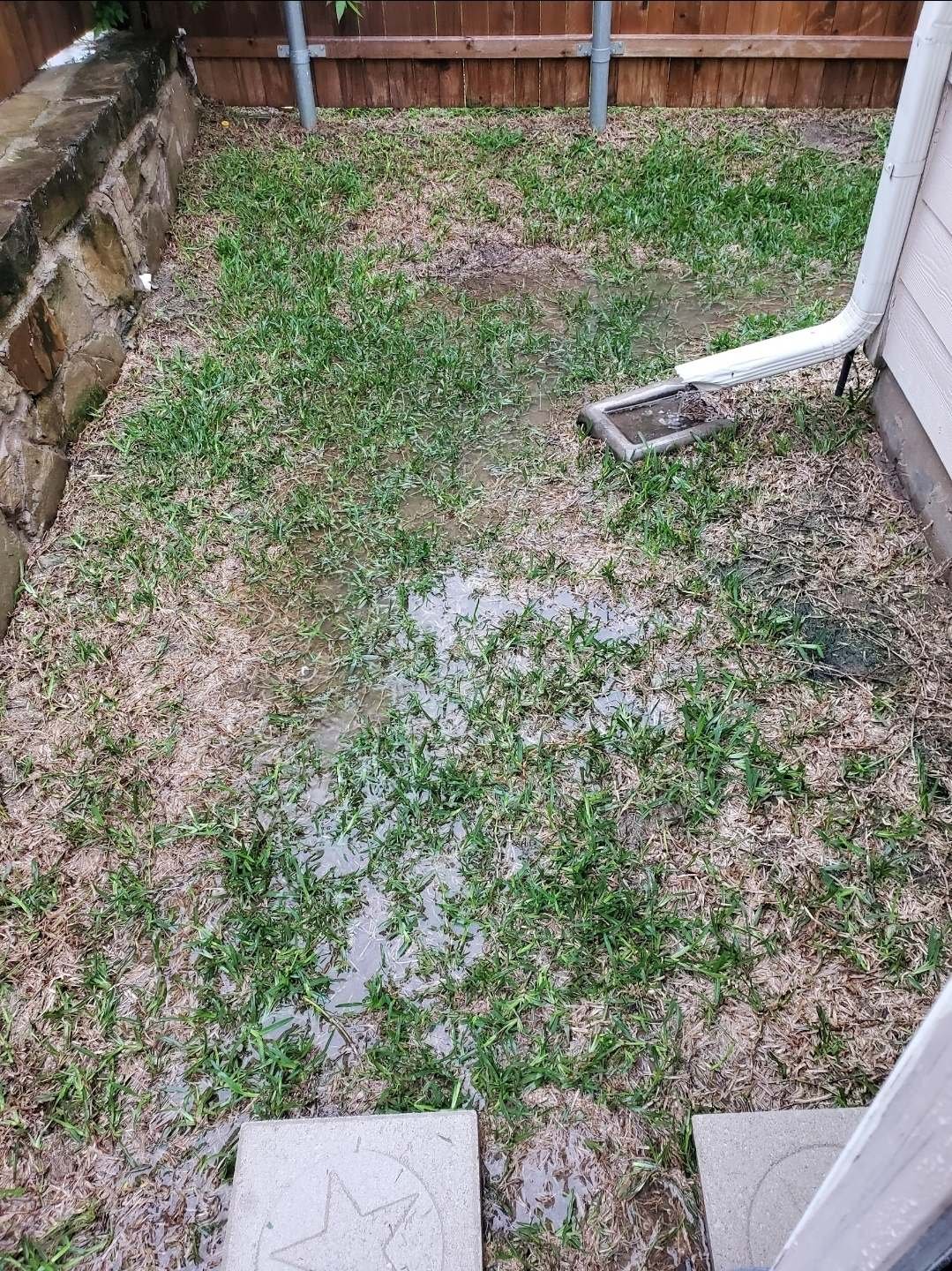 Rainwater pooling around a downspout splash block in a Texas back yard before drainage work