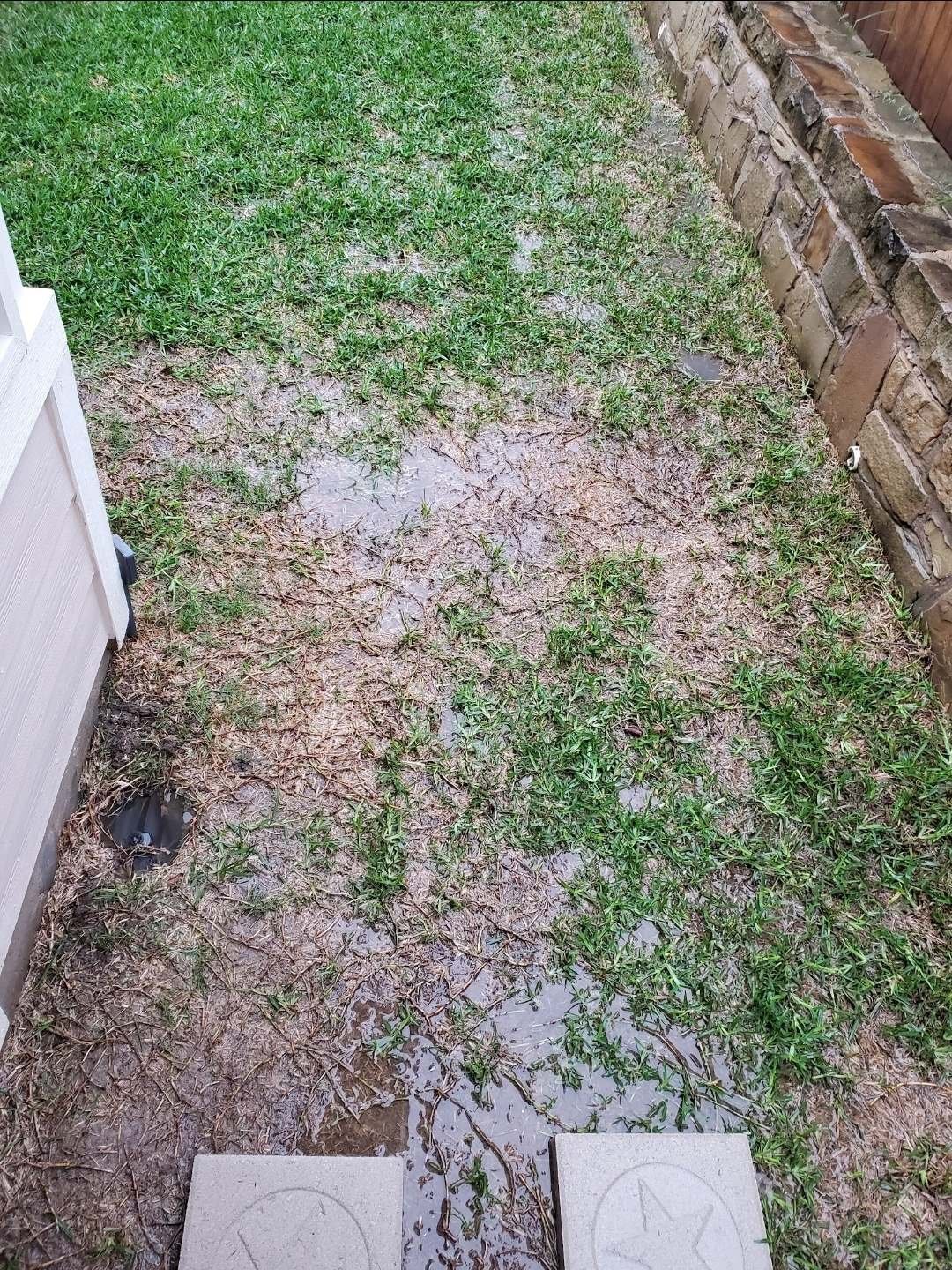 Rainwater standing in a Texas back yard beside a stone retaining wall, before any drainage work